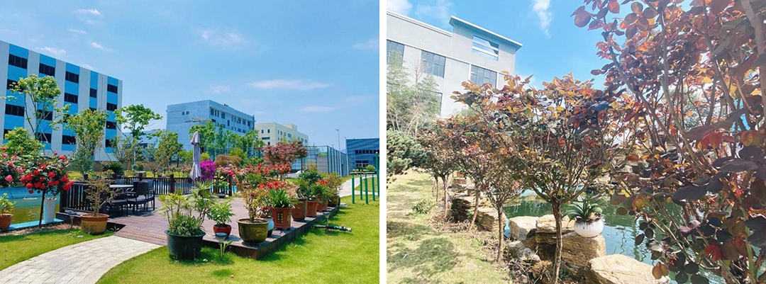 植樹節|守護綠色家園的秘密武器！