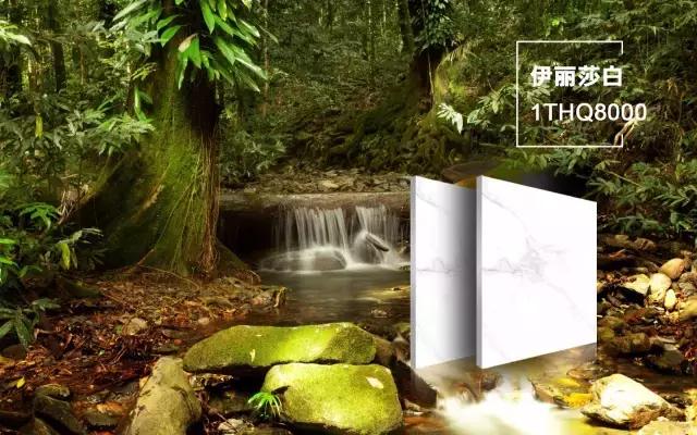 圣德保陶瓷森態石 | 帶您環游歐洲各大森林，坐享天然氧吧！